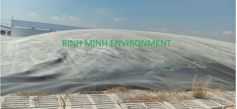 Công ty xử lý mùi và khí thải trong chăn nuôi