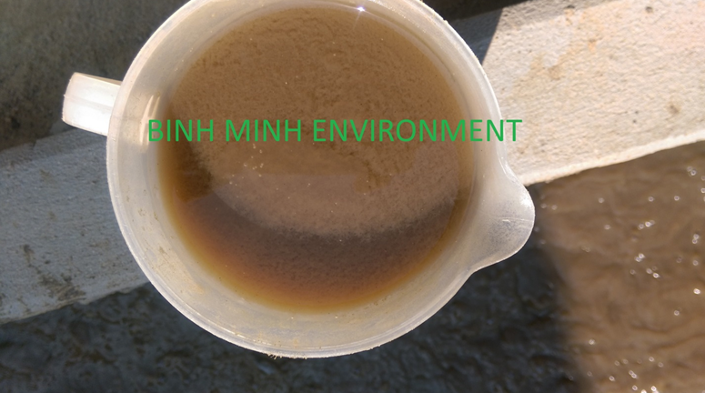 Công ty cung cấp bùn vi sinh ở Tp. Hồ Chí Minh