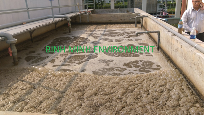 Công ty cung cấp bùn vi sinh ở Tp. Hồ Chí Minh